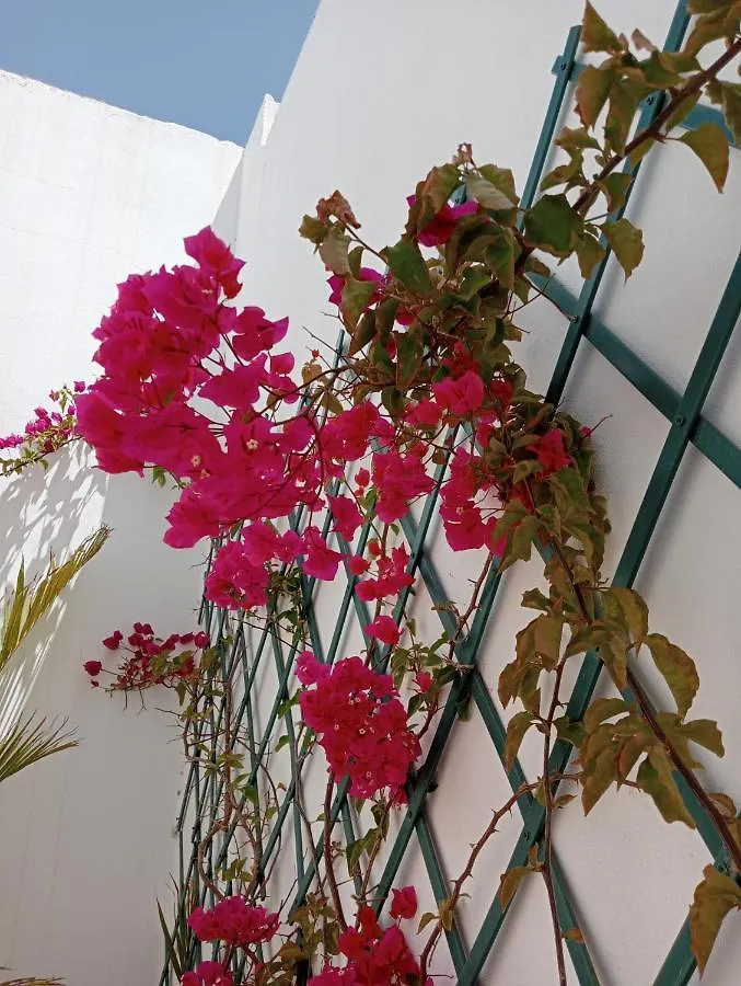 Casa Mocan Arrecife  Hiszpania